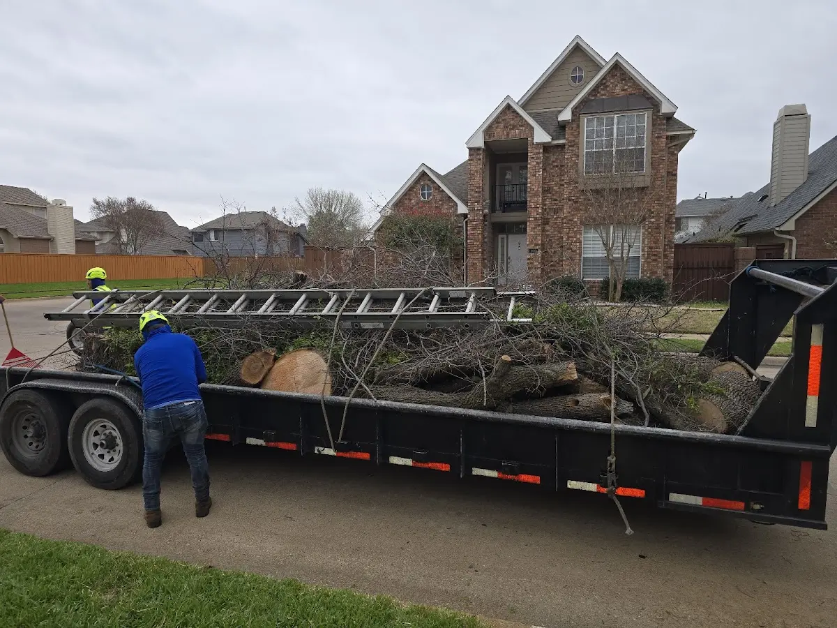 Expert Lot Clearing with proper safety equipment in Anderson